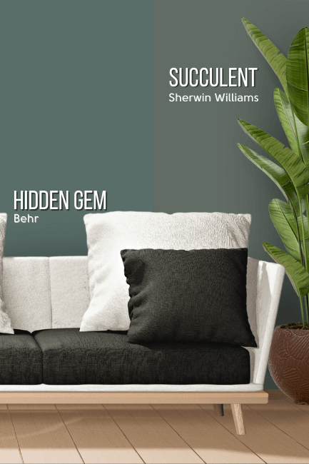 Behr Hidden Gem on half of a wall behind a white sofa and large plant and Sherwin Williams Succulent on the other half.
