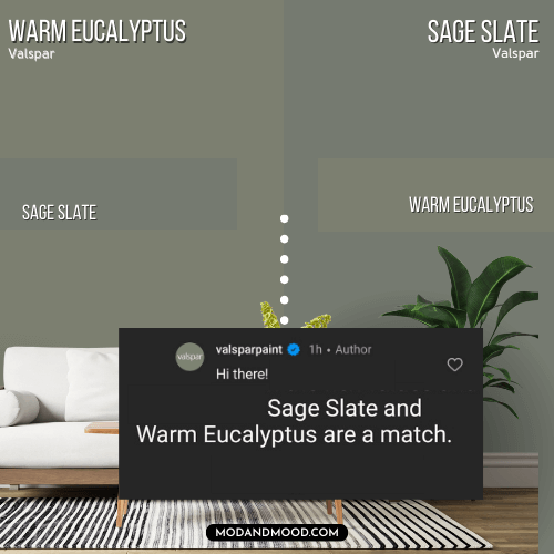 Valspar Warm Eucalyptus vs Sage Slate each on half of a wall behind a white sofa. A swatch of each is laid over the background color to show how the color differs on each side. There is a crop of an instagram comment from Valspar that says the colors are the same, but the graphic shows they are not.