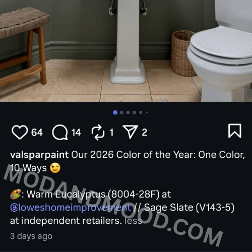 Valspar's instagram announcement for the color of the year, captioned: "Our 2026 Color of the Year: One Color, 10 Ways 😉

🎨: Warm Eucalyptus (8004-28F) at @loweshomeimprovement // Sage Slate (V143-5) at independent retailers."
