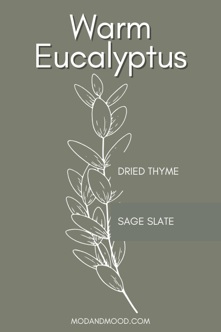 Background of warm eucalyptus with dired thyme and sage slate swatched over top.
