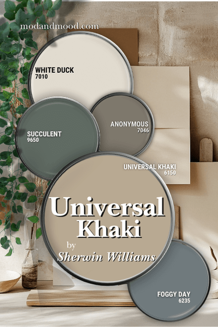 Sherwin Williams Universal Khaki in a color palette with White Duck, Succulent, Anonymous, and Foggy Day. Background is a collage of neutral decor with vines coming down from the top left corner.