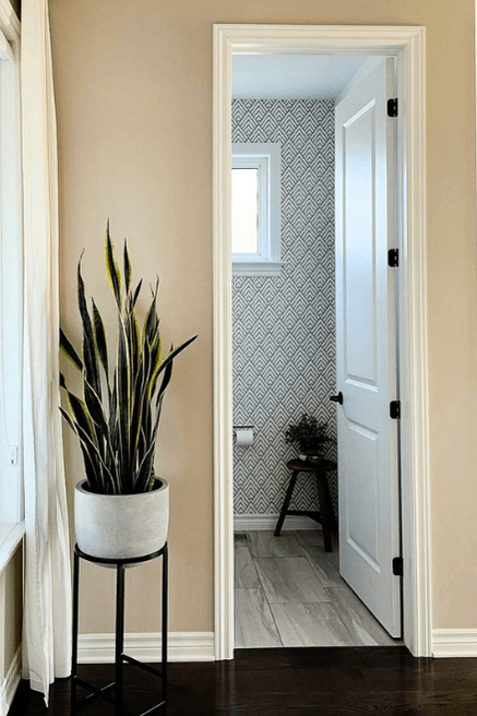A Universal Khaki color on walls in a hallway with white trim and a snake plant in a stand.