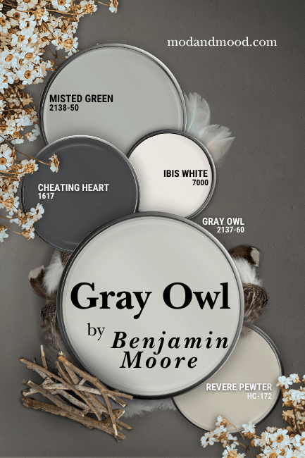 Benjamin Moore Gray Owl and coordinating colors Misted Green, Ibis White, Cheating Heart, and Revere Pewter over a dark gray background with feathers, twigs, and flowers.