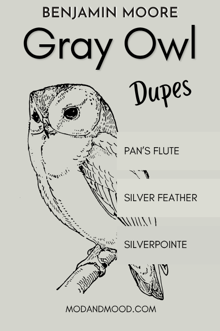 Benjamin Moore Gray Owl Dupes features swatches of dupes Pan's Flute, Silver Feather, and Silverpointe over a background of Gray Owl with a graphic of a gn owl in between to show contrast.