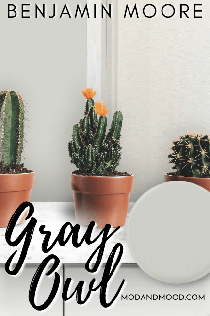 Gray Owl swatched as a paint dot over a photo of the color in a room with three cactus plants on a counter in the foreground.