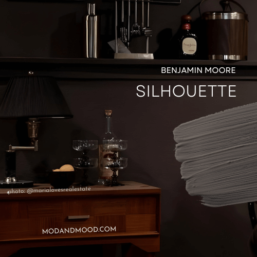 Benjamin Moore Silhouette swatched in paint over the color in a room color drenched in same