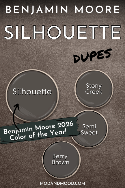 Benjamin moore Silhouette swatched alongside dupes Berry Brown, Semi Sweet, and Stony Creek.