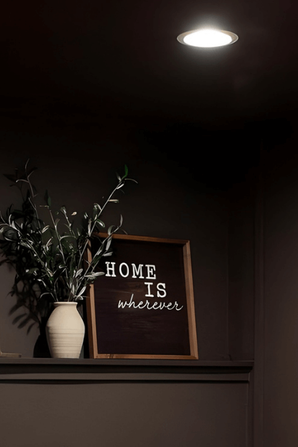 Benjamin moore Silhouette color drench