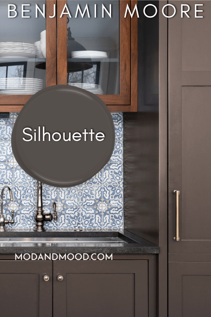 Benjamin Moore Silhouette on kitchen cabinets where the undertone is warmer with a swatch of the color over top
