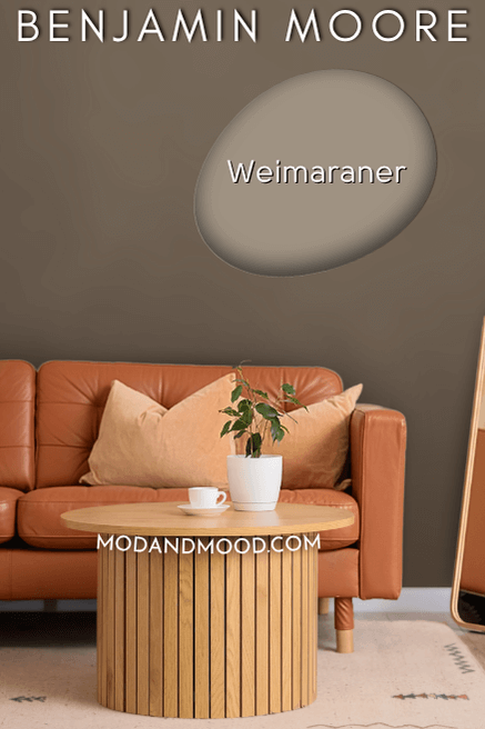 Benjamin Moore Weimaraner swatched over a photo of that color on the walls.