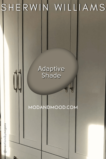 A tall wall cabinet in the color Sherwin Williams Adaptive Shade