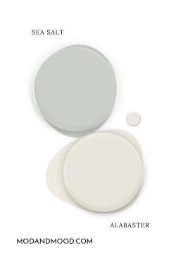Paint dot swatch of Sherwin Williams Sea Salt with the same of coordinating Color Alabaster.