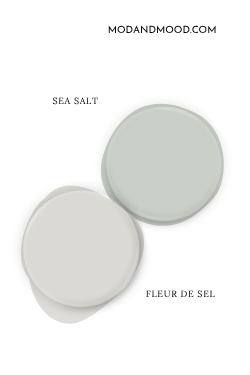Paint dot swatch of Sherwin Williams Sea Salt with the same of coordinating Color Fleur de Sel.