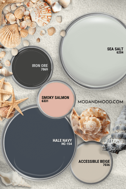 Sea Salt, Iron Ore, Smoky Salmon, Hale Navy, and Accessible Beige in a color palette over a beachy background of sand and shells.