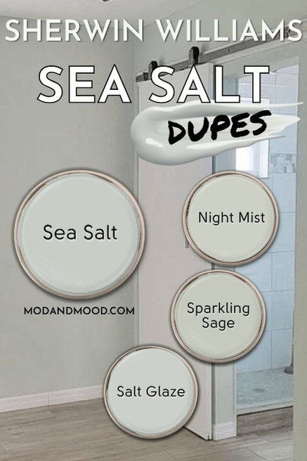 Dupes for Sea Salt features 3 swatches of alternatives from other brands around a larger swatch of Sea Salt over a background of Sea Salt in a bedroom. Dupes are Night Mist, Sparkling Sage, and Salt Glaze.