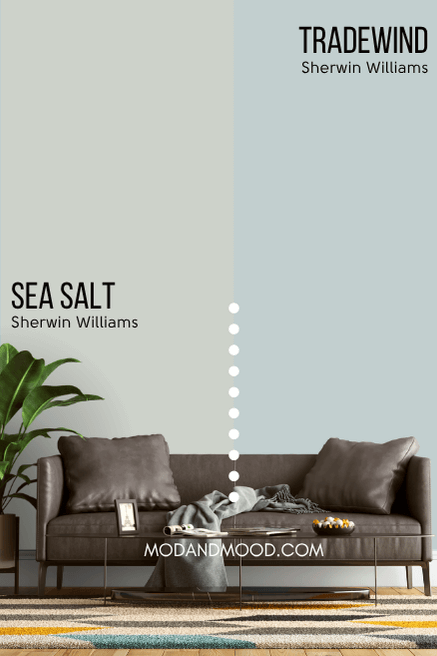 Tradewind vs Sea Salt on the wall behind a dark gray/brown sofa.