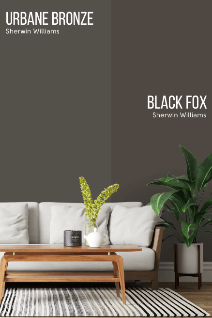 Urbane Bronze compared to black fox on a wall in a living room