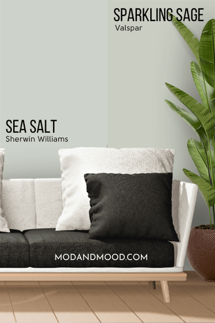 Valspar Sparkling Sage vs Sherwin Williams Sea Salt each on half of a wall behind a white and black sofa.