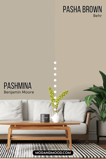 Behr dupe for Benjamin Moore Pashmina, Pasha Brown. Each color is compared on half of a wall behind a white sofa.