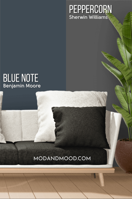 Benjamin Moore Blue note on a wall vs peppercorn on the other half behind a white and black sofa and a tall plant.