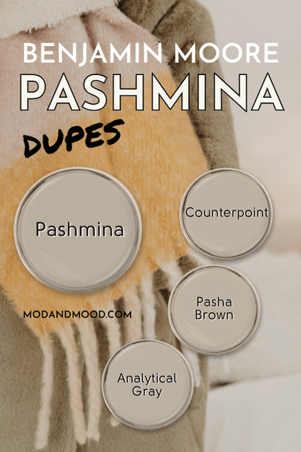 Benjamin Moore Pashmina and its dupes arranged over a photo of a scarf and coat. Dupes are Analytical Gray, Pasha Brown, and Counterpoint.