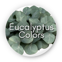 Circle says "Eucalyptus Colors" over a background of silver eucalyptus leaves