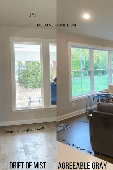 Agreeable Gray on the right side of a photo in a living room with big windows and the same of Drift of Mist on the left side.