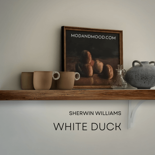 Sherwin Williams White Duck on a wall with a wood shelf, brown clay coffee cups, and an oil painting.