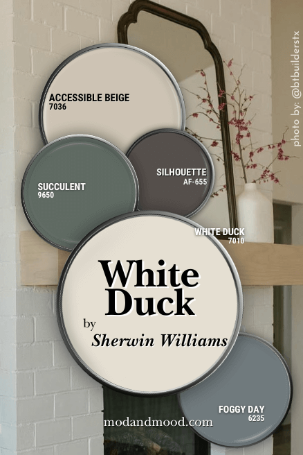 Sherwin Williams White Duck in a color palette with coordinating colors Accessible Beige, Benjamin Moore Silhouette, Succulent, and Foggy Day, over a background of creamy white on a fireplace