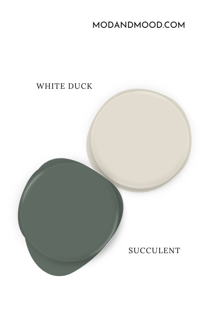 Sherwin Williams White Duck paint dot swatched above a dot of Succulent.