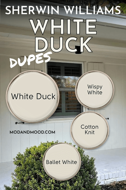 Sherwin Williams White Duck on a brick exterior with swatches of White Duck and dupes: Wispy White, Cotton Knit, and Ballet White aka Muskoka Trail.