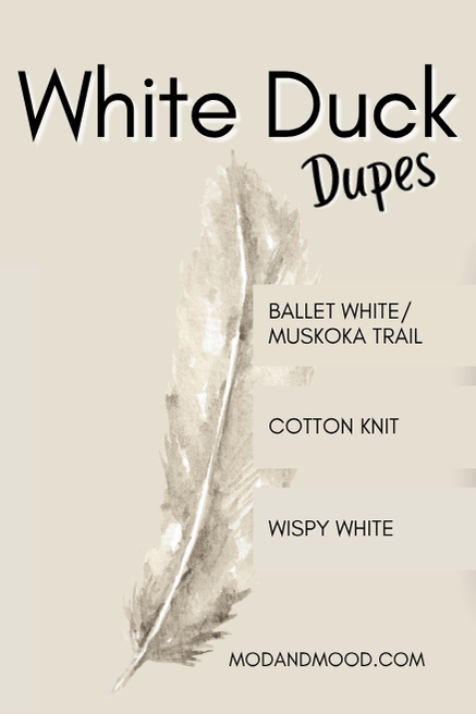 3 swatches on the right side of a graphic featuring a background in White Duck. Dupe swatches are Ballet White aka Muskoka Trail, Cotton Knit, and Wispy White.