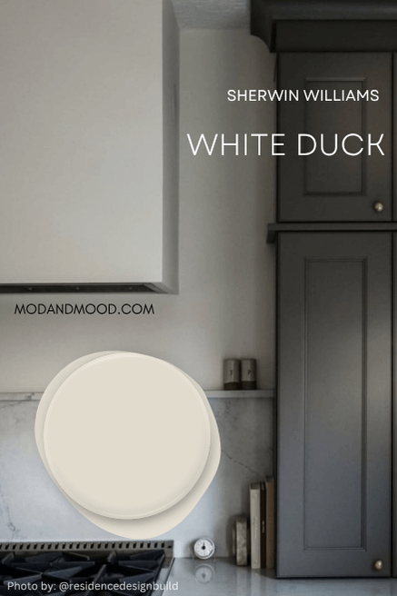 Swatch of Sherwin Williams White Duck over a photo of the color in a kitchen.