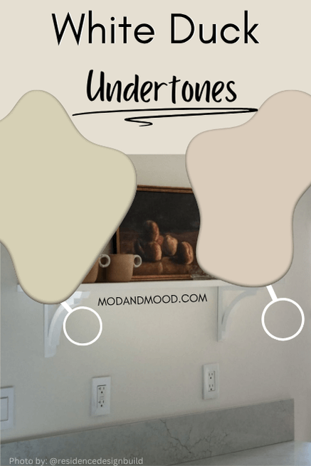 Photo shows yellow and peach undertones of White Duck in a photo of the color on a wall.