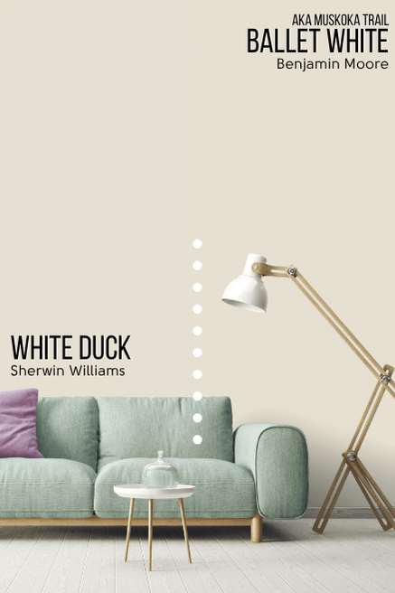 Sherwin Williams White Duck on one half of a wall and Ballet White aka Muskoka Trail on the other half in a living room behind a seafoam green house.