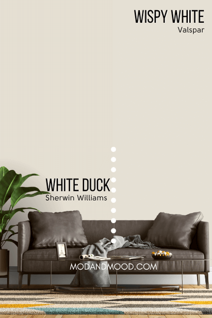 Sherwin Williams White Duck on one half of a wall and Valspar dupe Wsipy White on the other half in a living room behind a gray leather sofa.