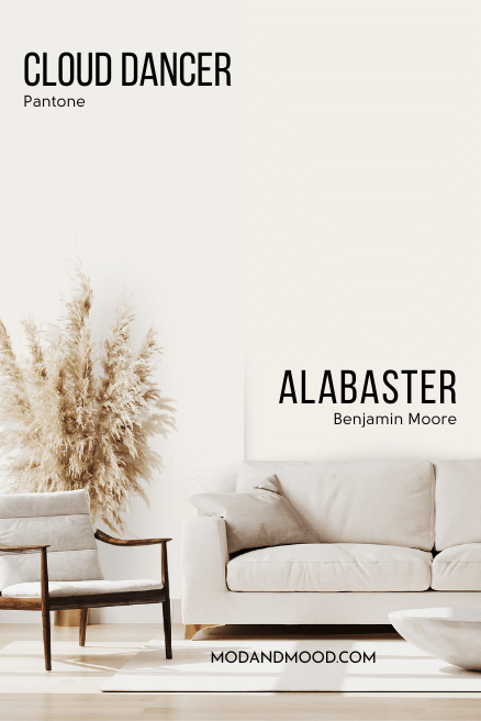 Pantone Cloud Dancer on half of a wall and alabaster on the other half behind a beige sofa and pampas grass.