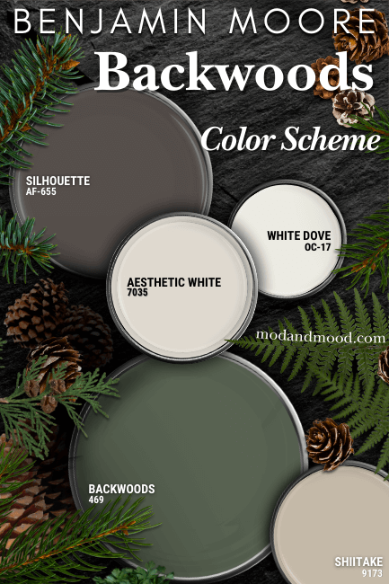 Benjamin Moore Backwoods color palette features Backwoods, Benjamin moore Silhouette, Sherwin Williams Aesthetic White, Benjamin Moore White Dove, and Sherwin Williams Shiitake all on paint lids over a woodsy background