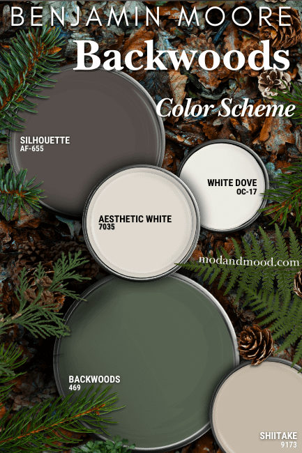 Benjamin Moore Backwoods color palette features Backwoods, Benjamin moore Silhouette, Sherwin Williams Aesthetic White, Benjamin Moore White Dove, and Sherwin Williams Shiitake all on paint lids over a woodsy background