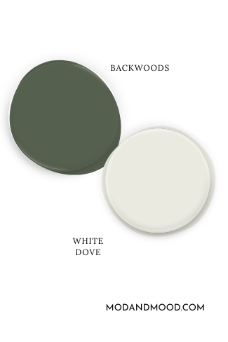 Swatch of Benjamin Moore Backwoods with coordinating color White Dove