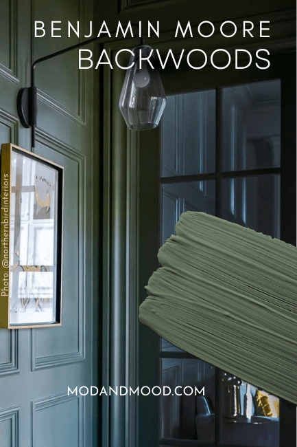 Benjamin Moore Backwoods swatched over a color drenched hallway with dramatic woodwork.