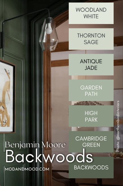 Benjamin Moore backwoods color strip features shades from light to dark: Woodland White, Thornton Sage, Antique Jade, Garden Path, High Park, Cambridge Green, and Backwoods, over a photo of the color in a hall.