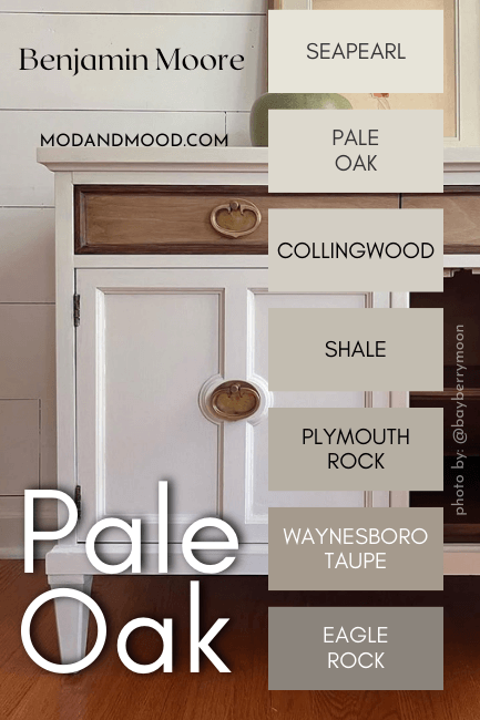 The Pale Oak color strip from Benjamin Moore