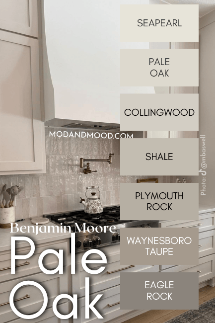 Benjamin Moore Pale oak color strip over a photo of the color on kitchen cabinets.