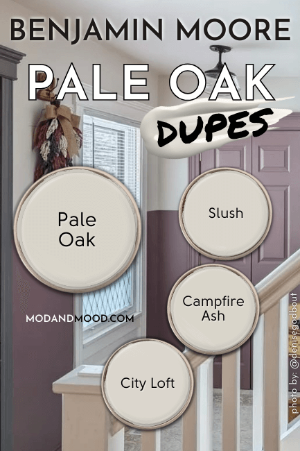 Swatches of dupes for Pale Oak beside a swatch of pale oak over a photo of the color in an entrance with cinnamon slate