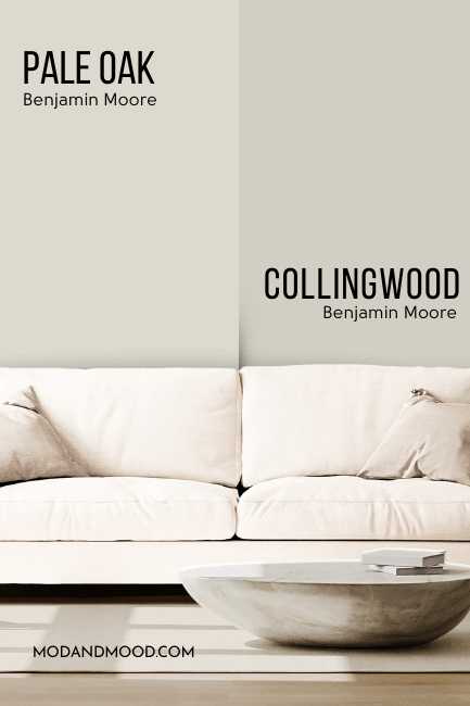 Benjamin Moore Collingwood on half of a wall and Pale Oak on the other half behind a creamy white sofa