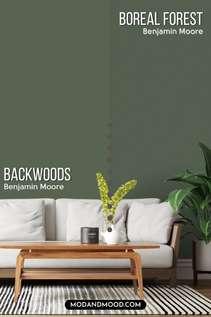 Benjamin Moore Backwoods on half of a wall compared to the other half of the wall in Benjamin Moore Boreal Forest behind a white sofa
