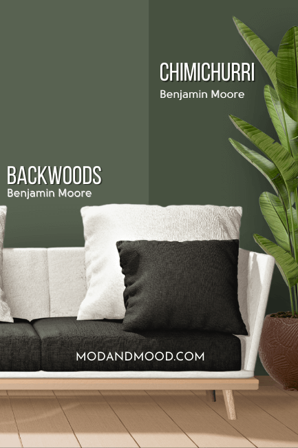 Benjamin Moore Backwoods on half of a wall compared to the other half of the wall in Benjamin Moore Chimichurri behind a white sofa and tall potted plant.