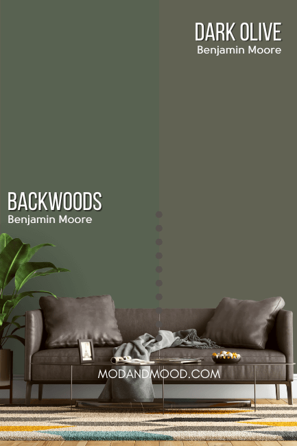 Benjamin Moore Backwoods on half of a wall compared to the other half of the wall in Benjamin Moore Dark Olive behind a gray brown leather sofa.