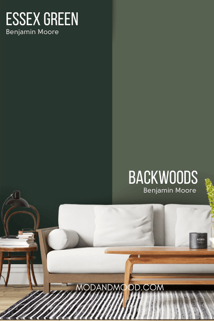 Benjamin Moore Backwoods on half of a wall compared to the other half of the wall in Benjamin Moore Essex Green behind a white sofa